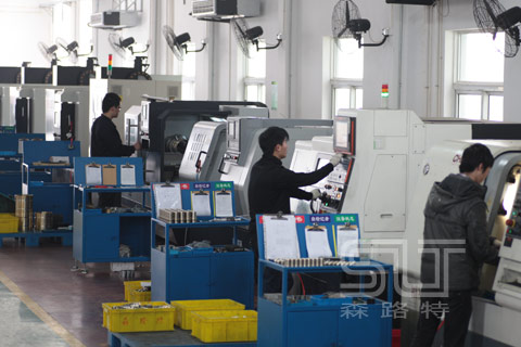 Senlute Sliding Bearing